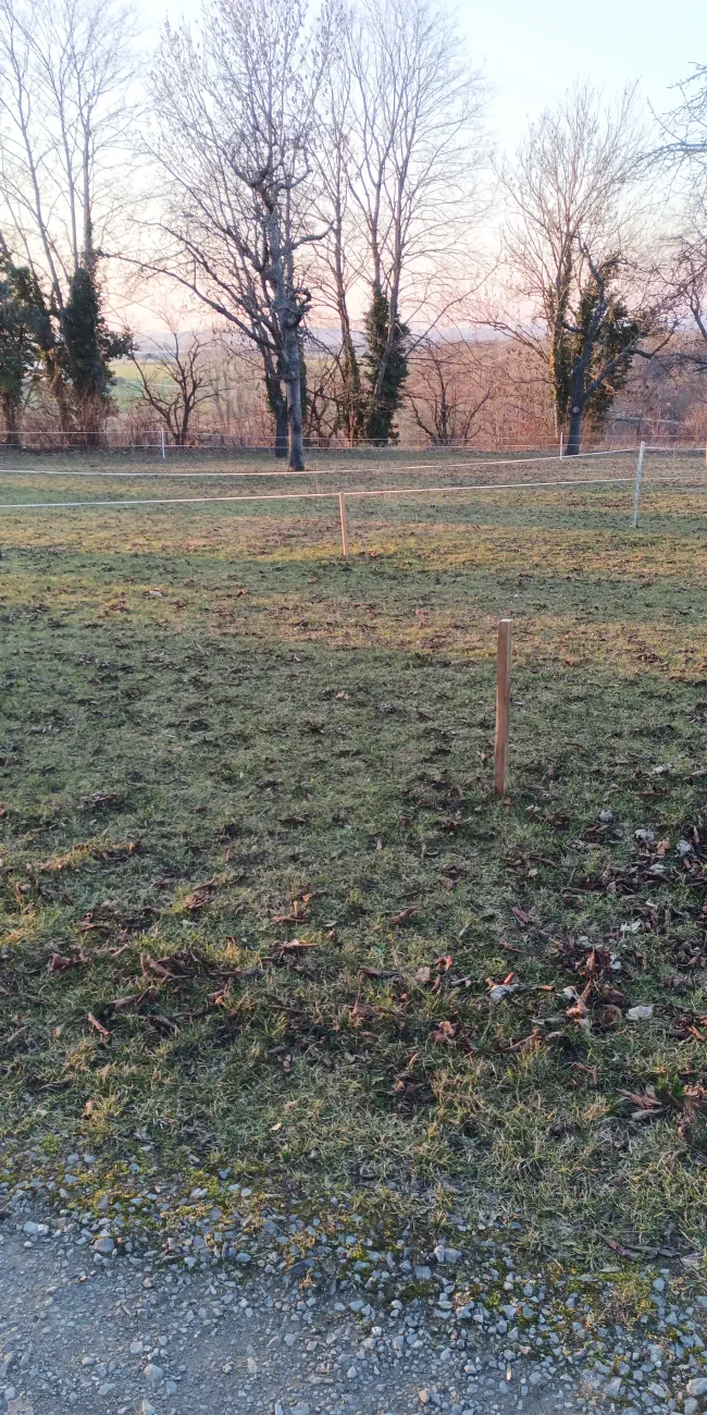 Obstbaumpflanzung2026-01