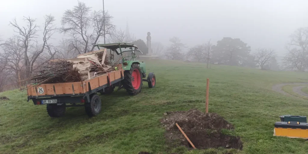 Baumpflanzaktion zum Erhalt der Streuobstwiese